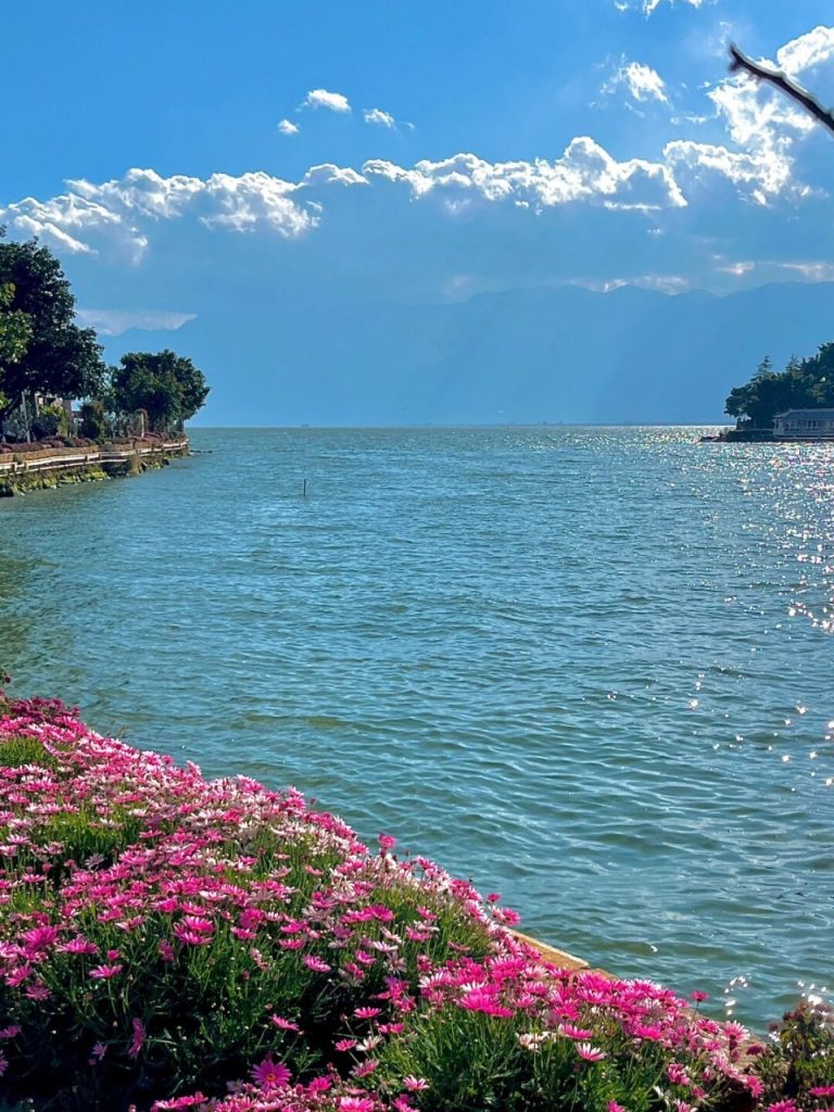 01 洱海风光