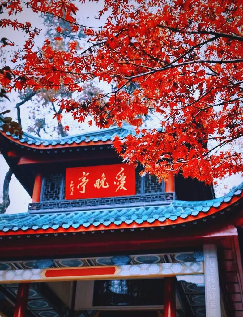长沙周末逛吃全攻略:三天两晚,把网红城市玩出本地人感觉 02 岳麓山爱晚亭