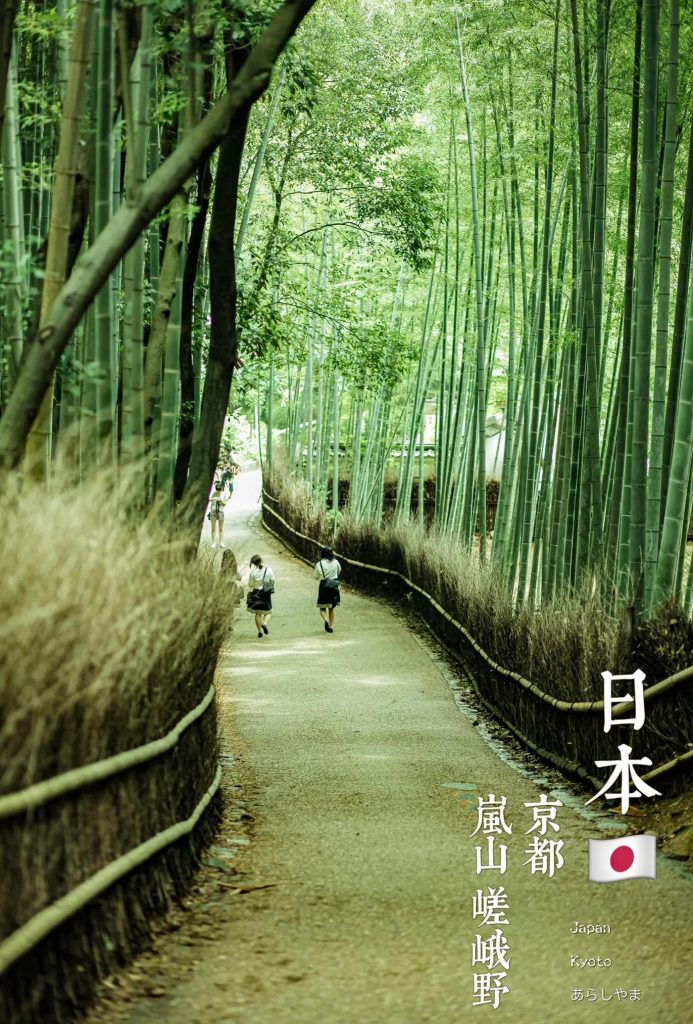 在京都追了三天红叶,我摸清了关西秋天的正确打开方式 03 岚山竹林