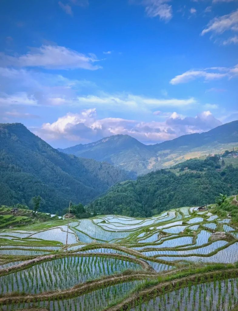 在黔东南待了六天,我钻进了贵州最会唱歌的山水里 04 加榜梯田